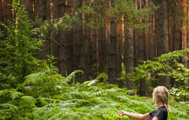 W jaki sposób eko-wypoczynek pozwala cieszyć się komfortem bez szkody dla natury?