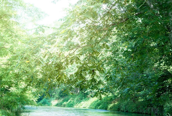 Czy eko-wypoczynek w duchu slow life to nowy luksus?