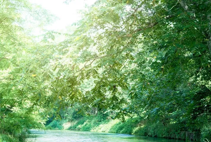 Czy eko-wypoczynek w duchu slow life to nowy luksus?